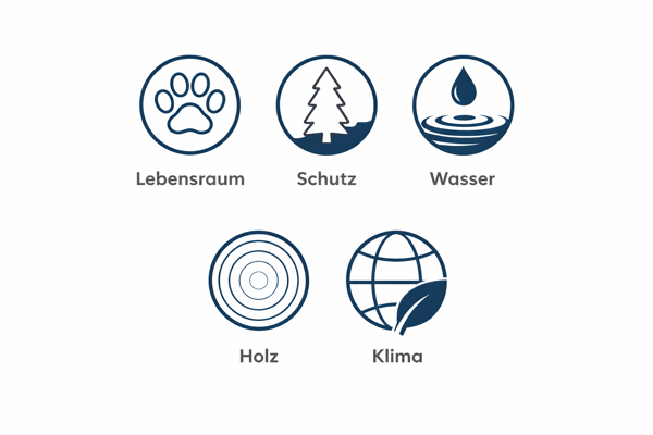 Symbole Für Natur Und Nachhaltigkeit