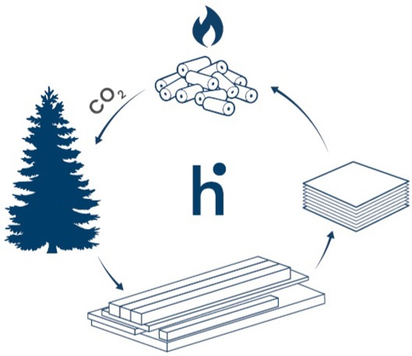 Sujet 4 Unser Holz Wird Zu 100 Prozent Genutzt 16 9 Gfx